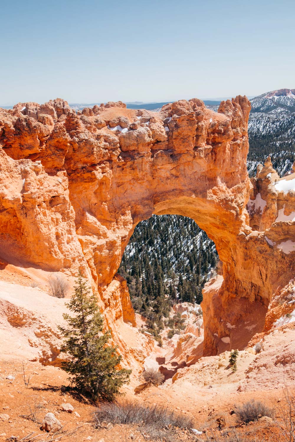 Natural Bridge - - Roads and Destinations