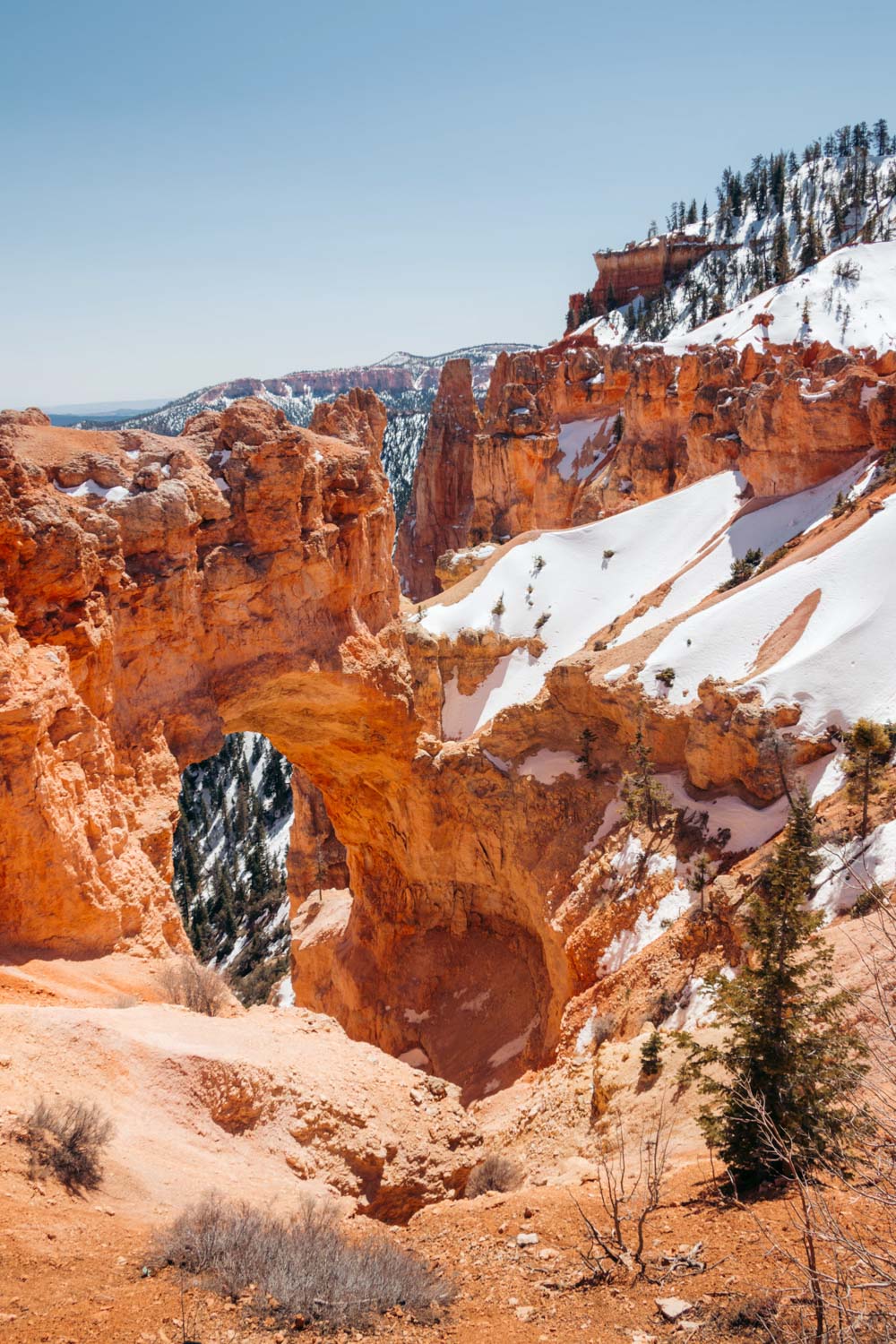 Natural Bridge - Roads and Destinations