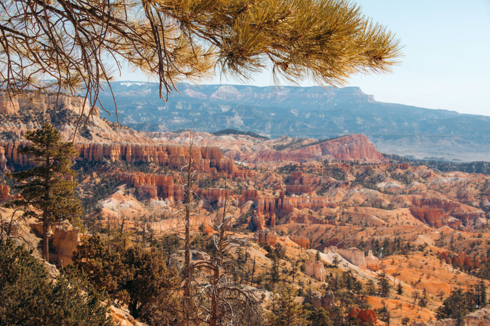 One Day in Bryce Canyon National Park - Roads and Destinations