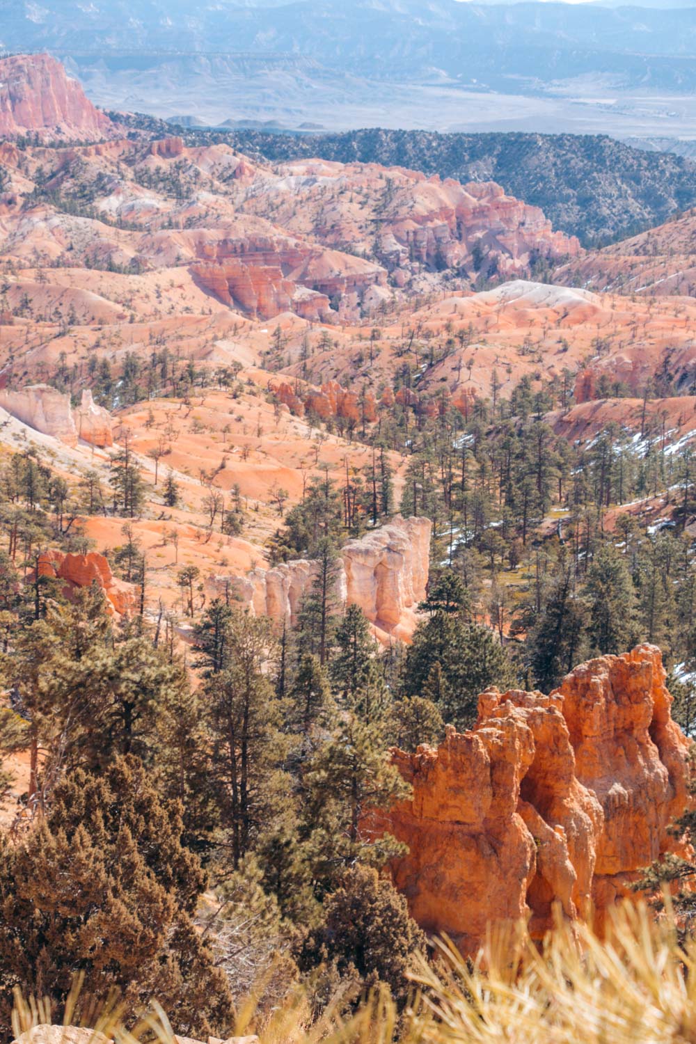 One Day in Bryce Canyon National Park - Roads and Destinations