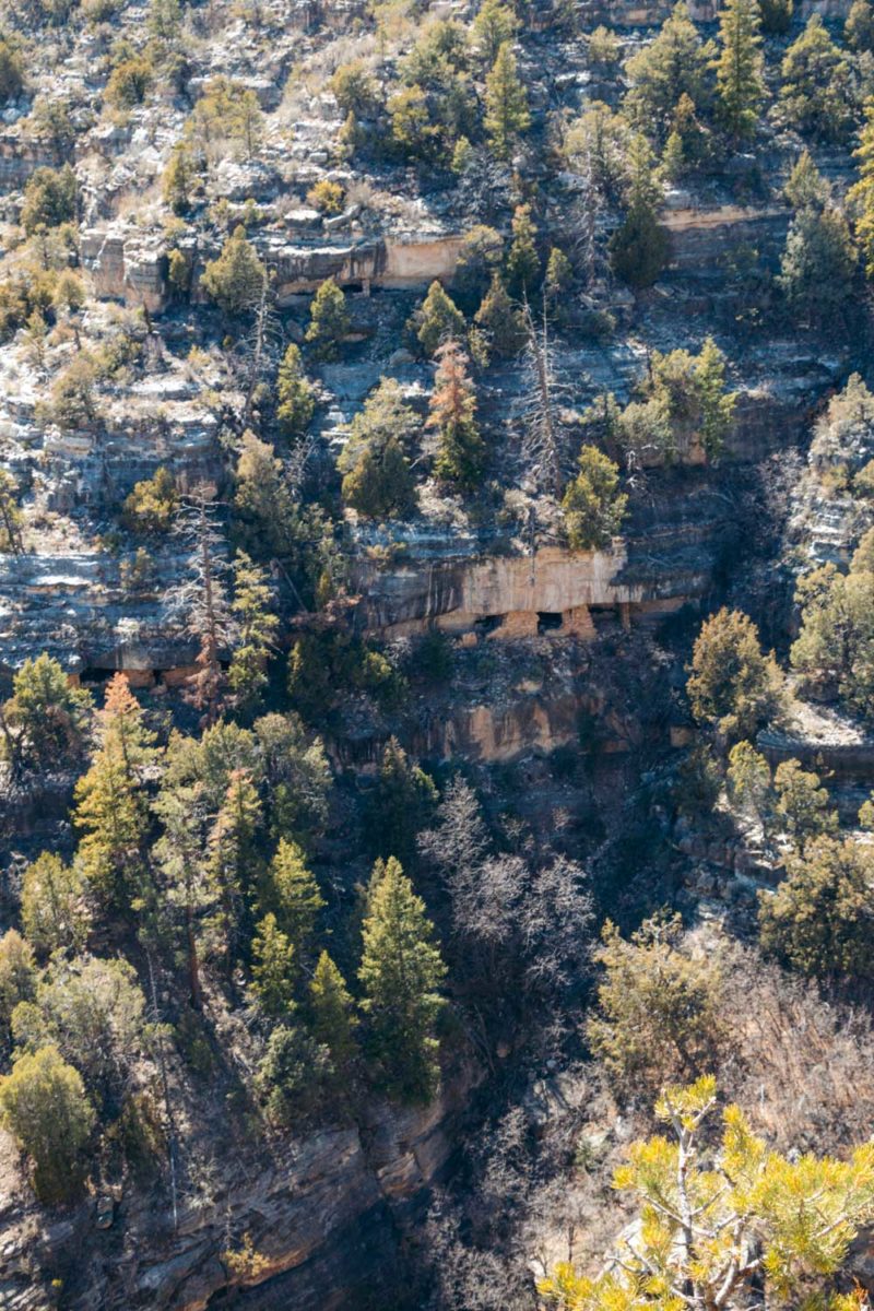 The 6 Best Ancient StandAlone and Cliff Dwellings in Arizona Roads