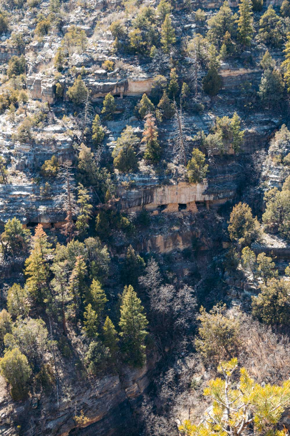 Walnut Canyon National Monument - Roads and Destinations