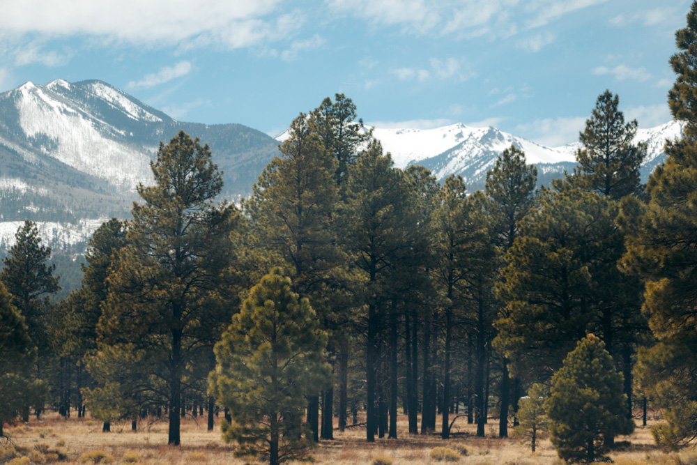Outdoor things to do near Flagstaff, AZ - Roads and Destinations
