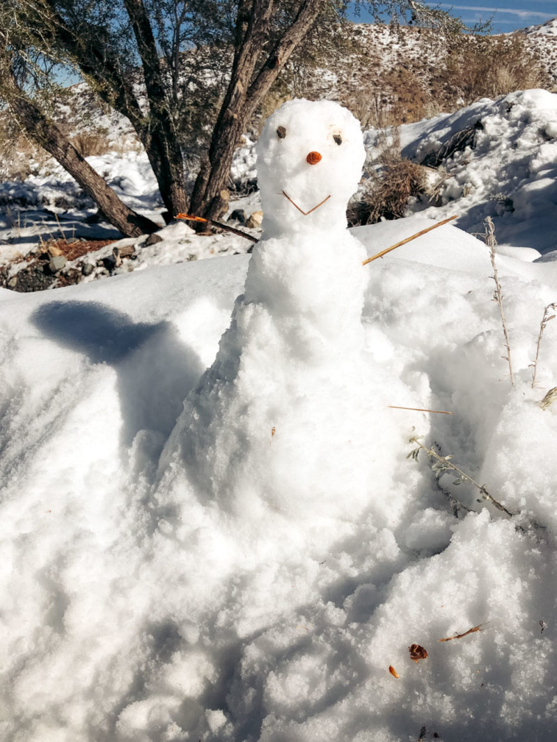 The Best Things to Do in Wrightwood in Winter Roads and Destinations