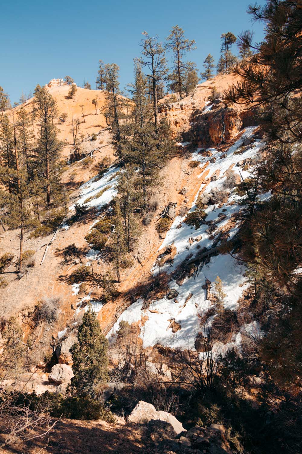 Mossy Cave Trail and Waterfall Hike in Bryce Canyon - Roads and Destinations