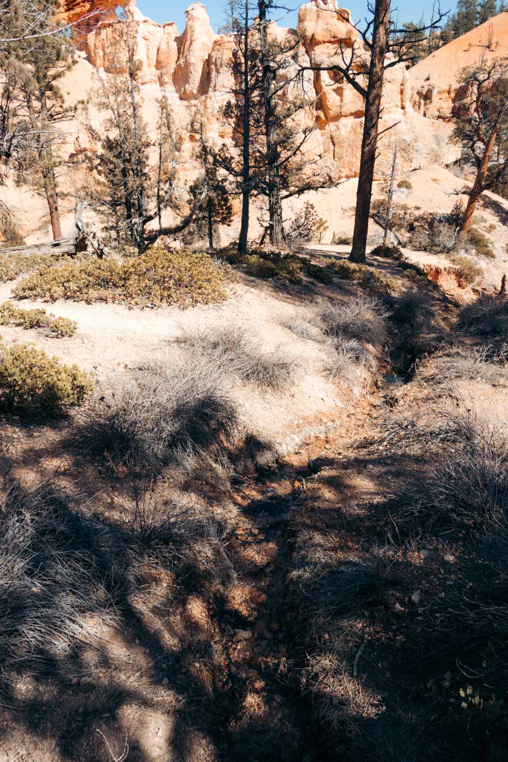 Mossy Cave Trail and Waterfall Hike in Bryce Canyon - Roads and Destinations