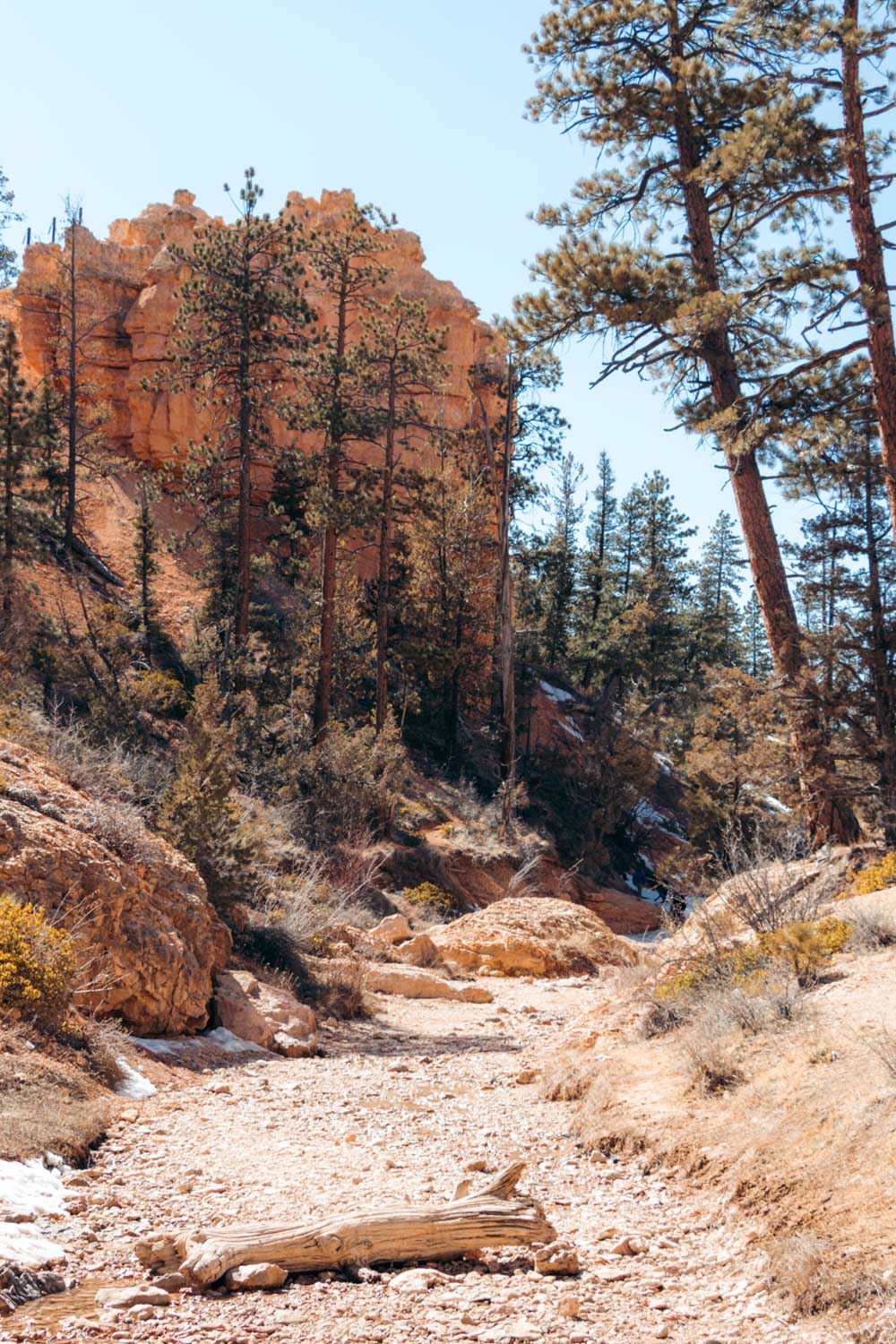 Mossy Cave Trail and Waterfall Hike in Bryce Canyon - Roads and Destinations