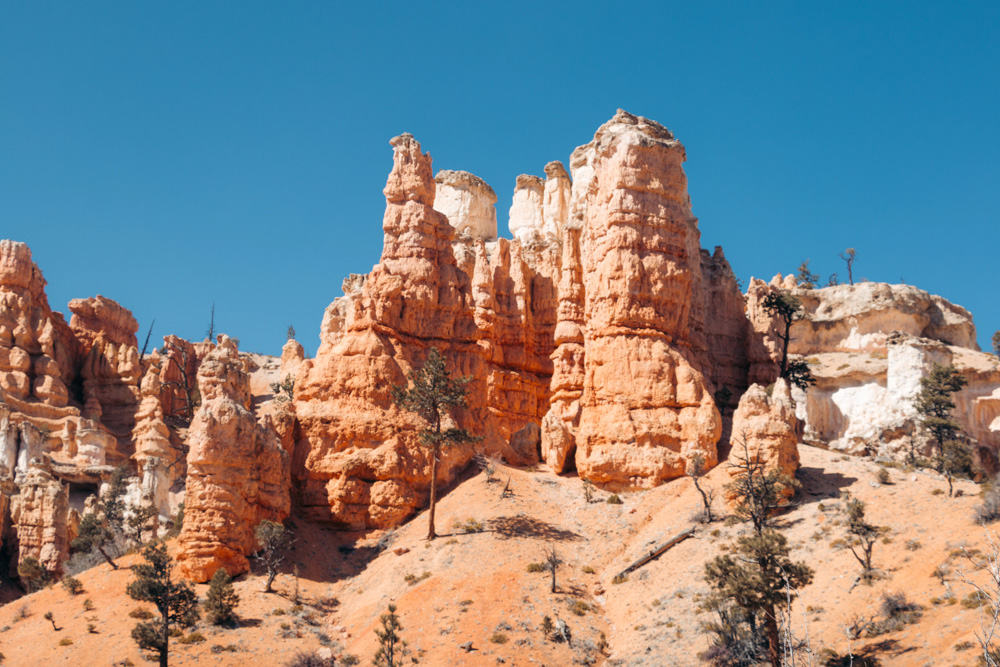 Mossy Cave Trail and Waterfall Hike in Bryce Canyon - Roads and Destinations