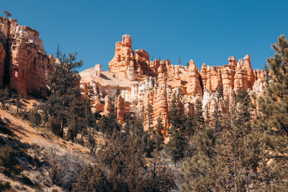 Mossy Cave Trail and Waterfall Hike in Bryce Canyon - Roads and Destinations