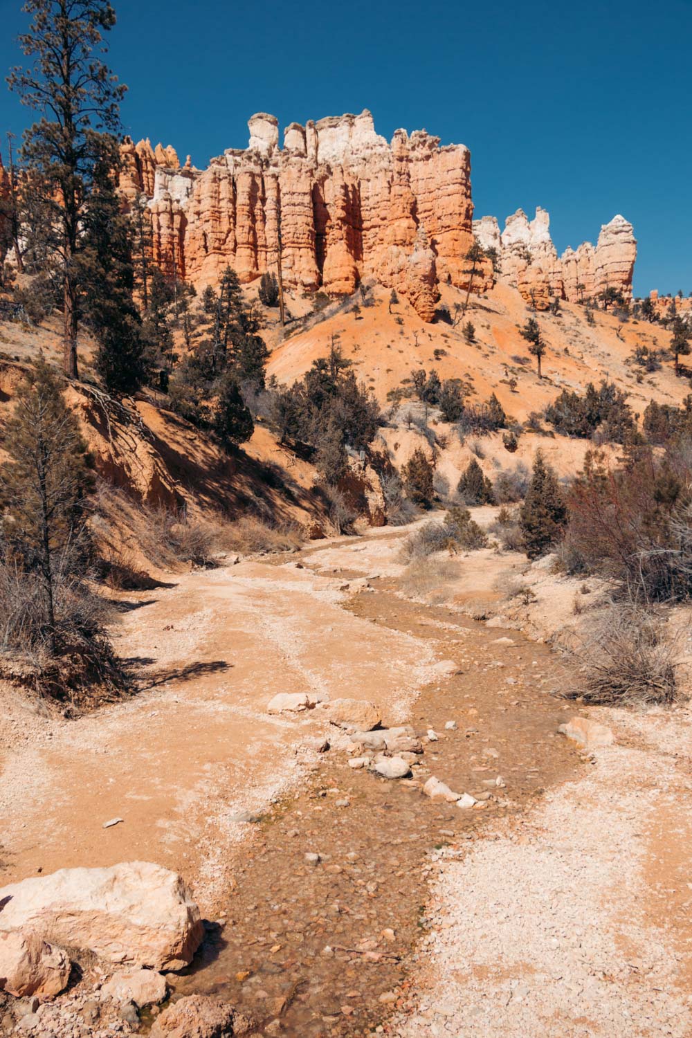 Mossy Cave Trail and Waterfall Hike in Bryce Canyon - Roads and Destinations