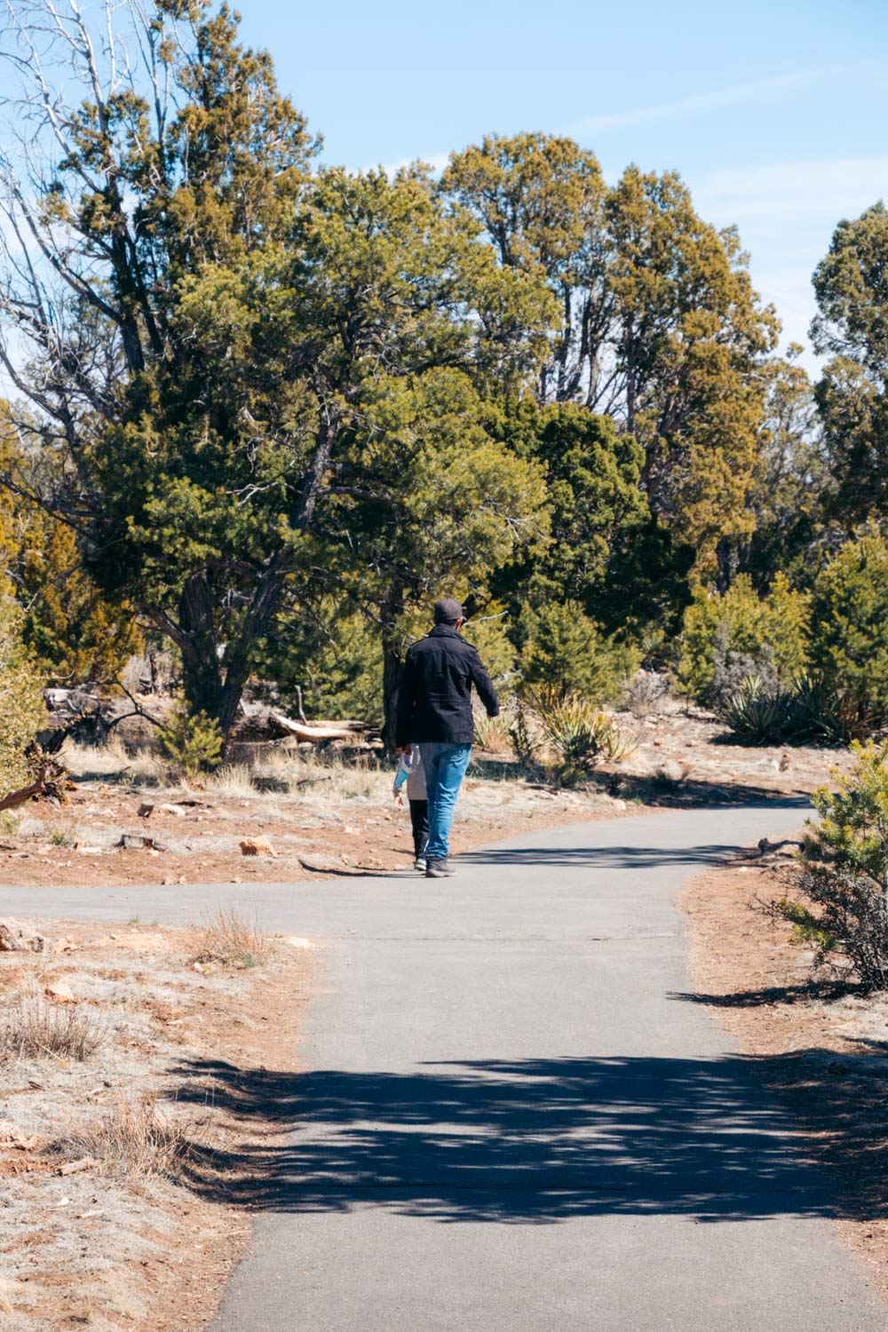 Rim Trail, AZ - Roads and Destinations