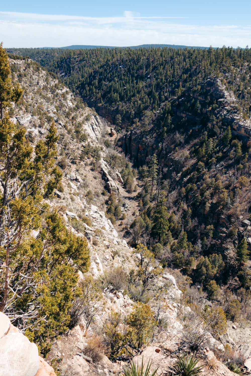 Visiting Walnut Canyon National Monument - Roads and Destinations