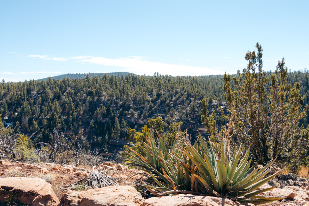 Visiting Walnut Canyon National Monument - Roads and Destinations