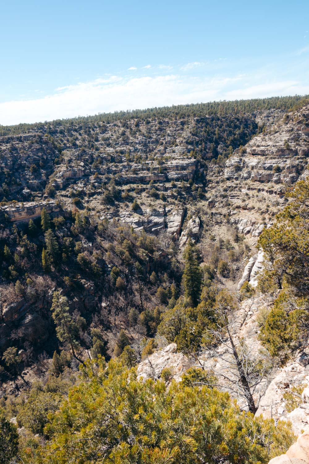 Visiting Walnut Canyon National Monument - Roads and Destinations