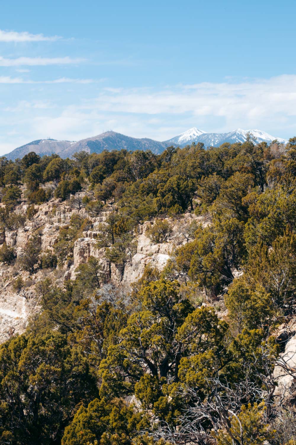 Visiting Walnut Canyon National Monument - Roads and Destinations