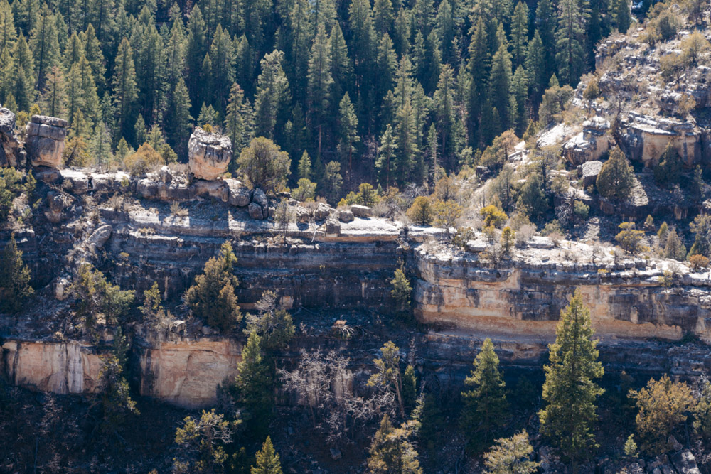 Visiting Walnut Canyon National Monument - Roads and Destinations