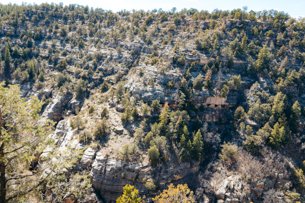 Visiting Walnut Canyon National Monument - Roads and Destinations