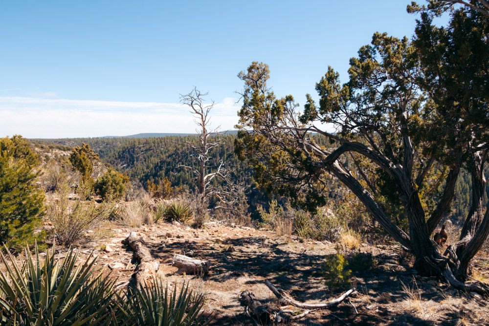 Visiting Walnut Canyon National Monument - Roads and Destinations