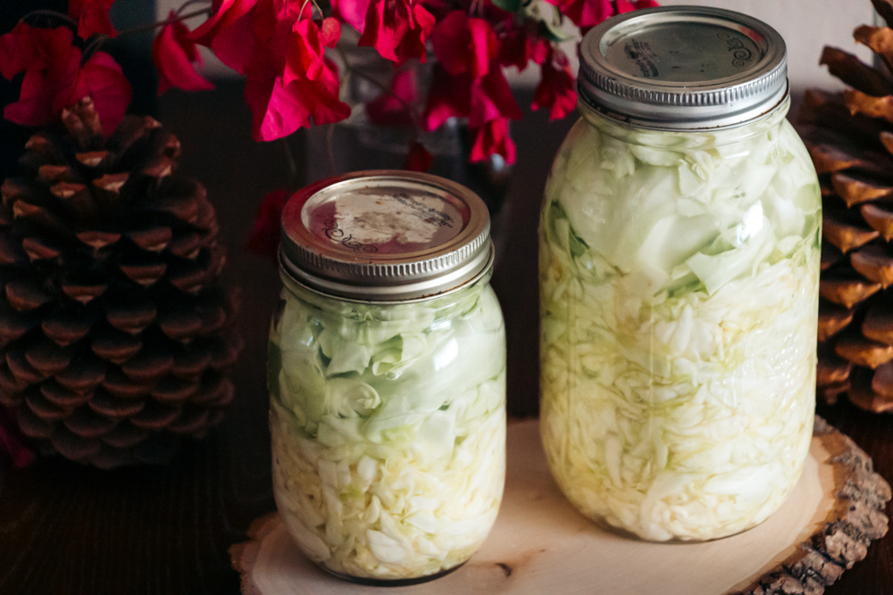 Fermented Cabbage - Roads and Destinations