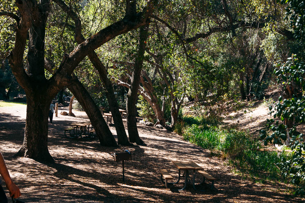 Hike Bear Gulch Cave and Rim Trails - Roads and Destinations