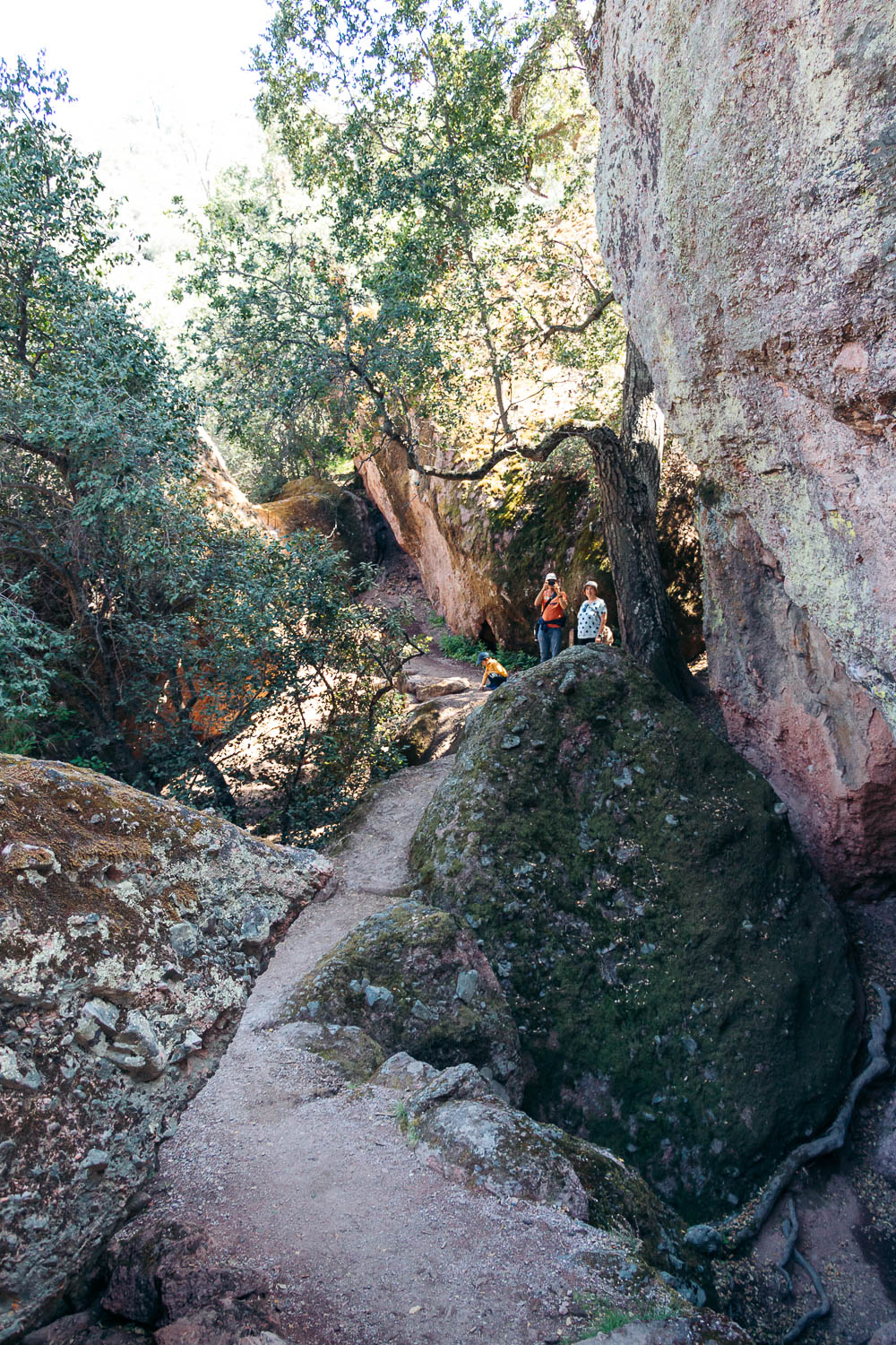 Hike Bear Gulch Cave and Rim Trails - Roads and Destinations