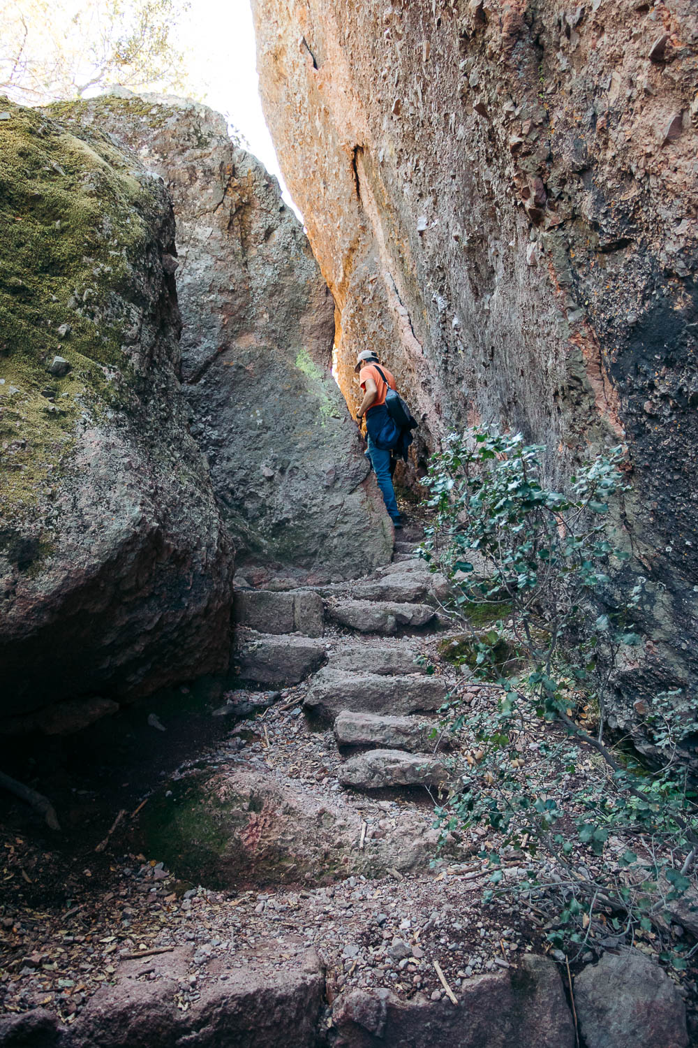 Hike Bear Gulch Cave and Rim Trails - Roads and Destinations