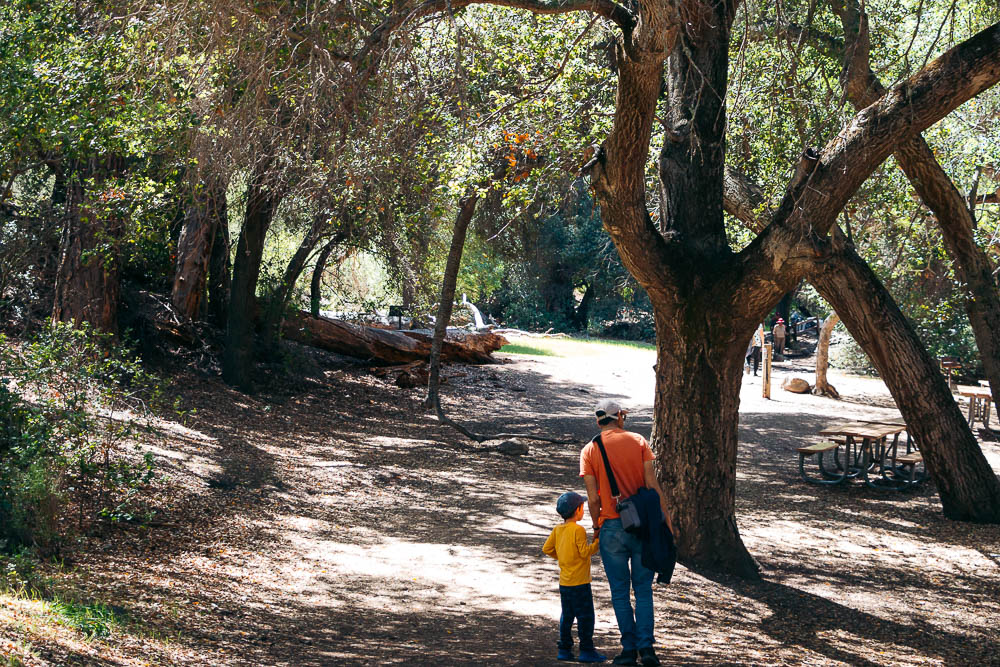 Hike Bear Gulch Cave and Rim Trails - Roads and Destinations