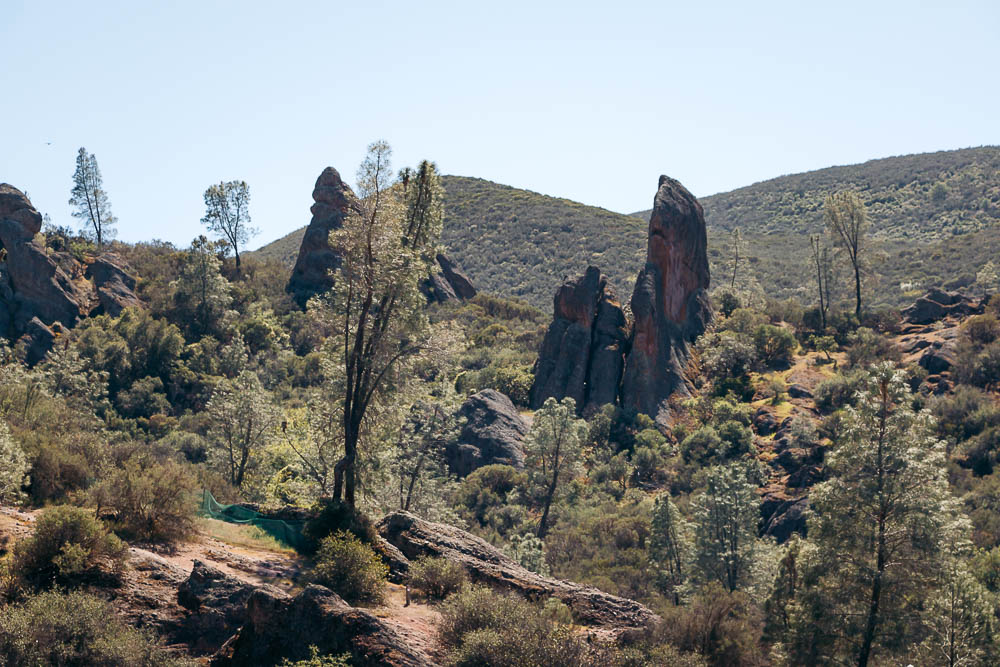 Hike Bear Gulch Cave and Rim Trails - Roads and Destinations