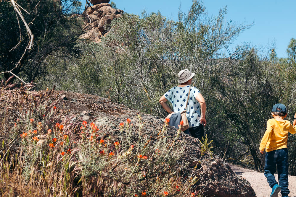 Hike Bear Gulch Cave and Rim Trails - Roads and Destinations