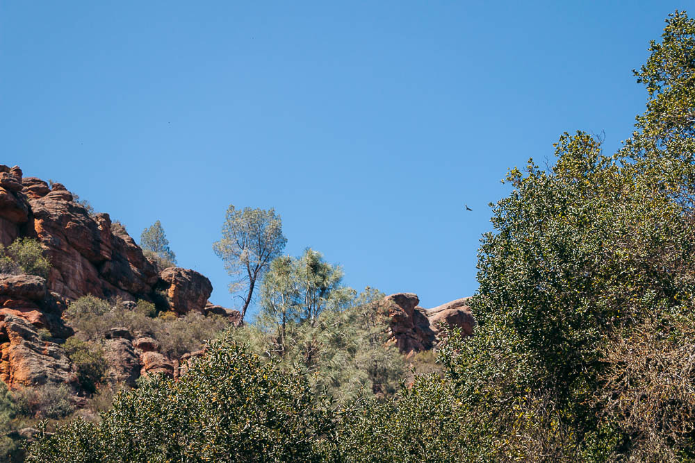 Hike Bear Gulch Cave and Rim Trails - Roads and Destinations