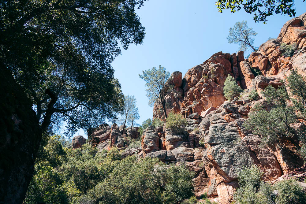 Hike Bear Gulch Cave and Rim Trails - Roads and Destinations