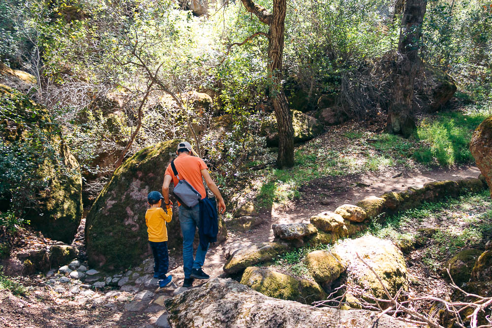 Hike Bear Gulch Cave and Rim Trails - Roads and Destinations