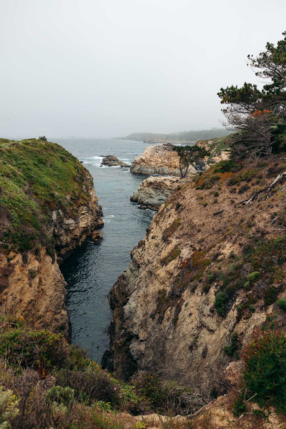 Point Lobos SNR- Roads and Destinations