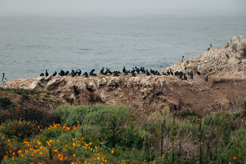 How to hike Bird Island Trail - Roads and Destinations