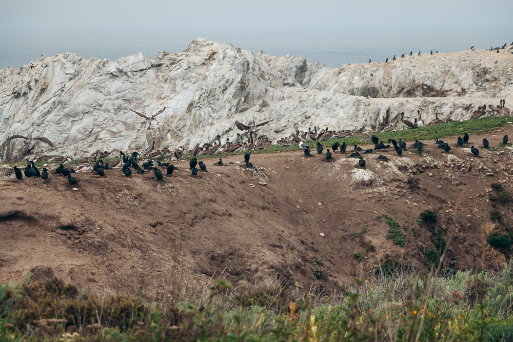 How to hike Bird Island Trail - Roads and Destinations