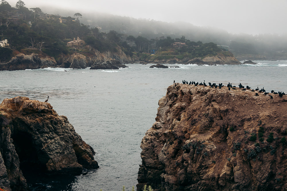 How to hike Bird Island Trail - Roads and Destinations