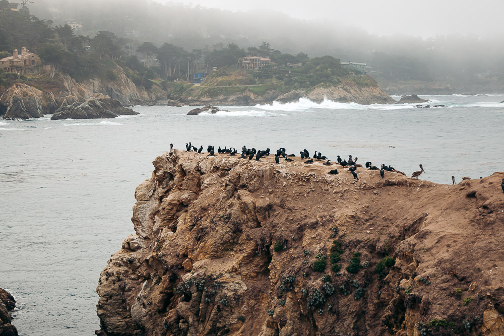 Point Lobos SNR - Roads and Destinations