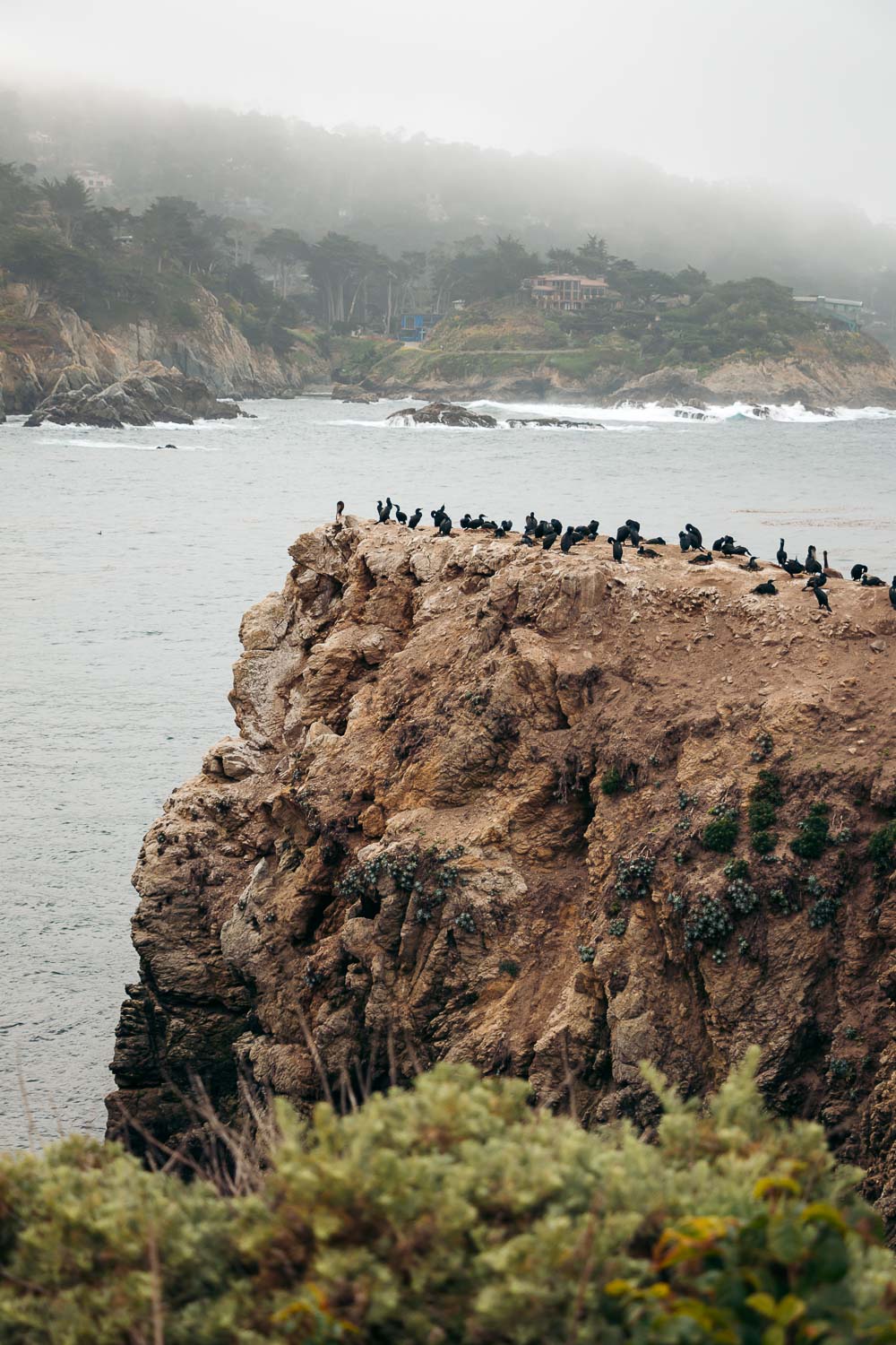 Point Lobos SNR- Roads and Destinations