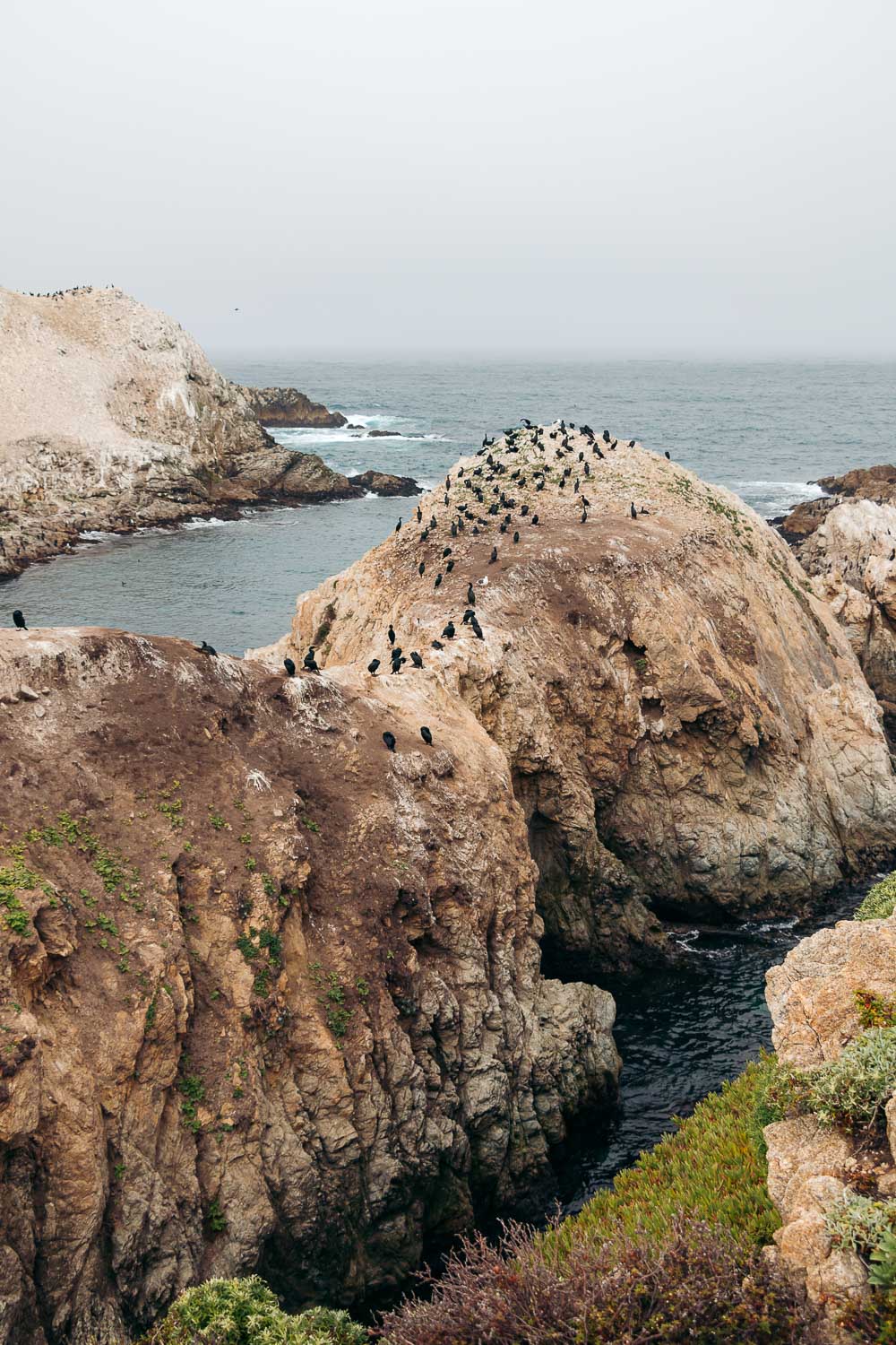 Point Lobos SNR - Roads and Destinations