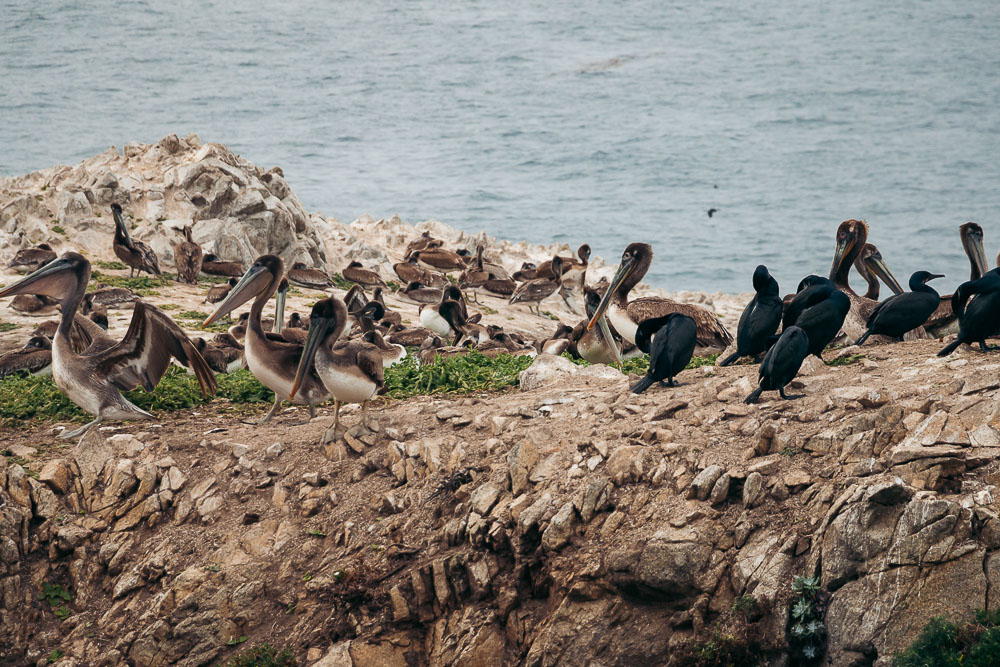 Point Lobos State Reserve - Roads and Destinations