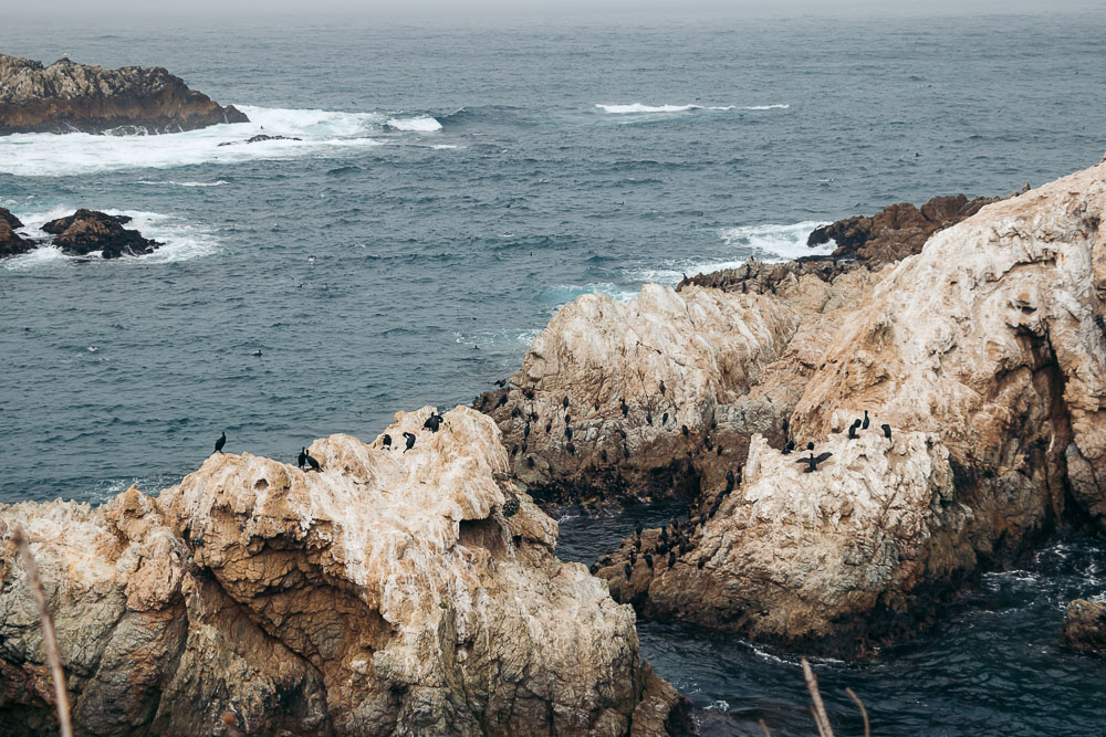 How to hike Bird Island Trail - Roads and Destinations