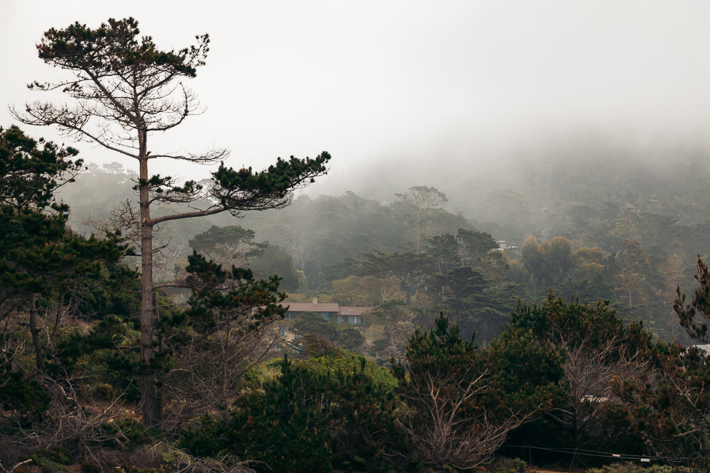 How to hike Bird Island Trail - Roads and Destinations