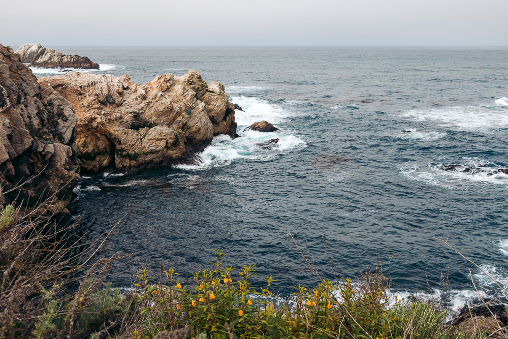 How to hike Bird Island Trail - Roads and Destinations