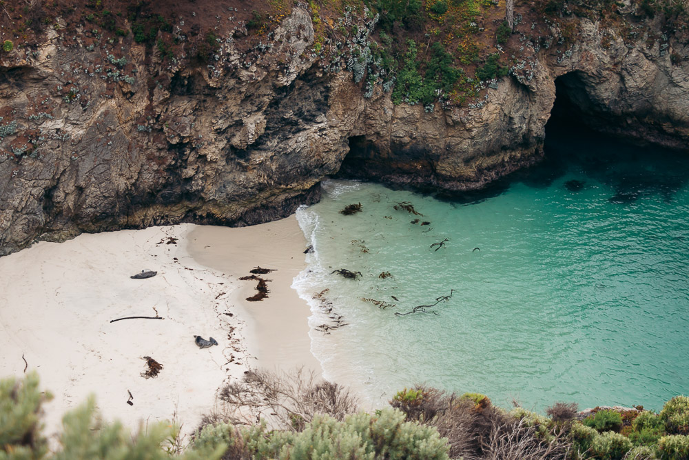 How to hike Bird Island Trail, Places to see marine wildlife in California - Roads and Destinations