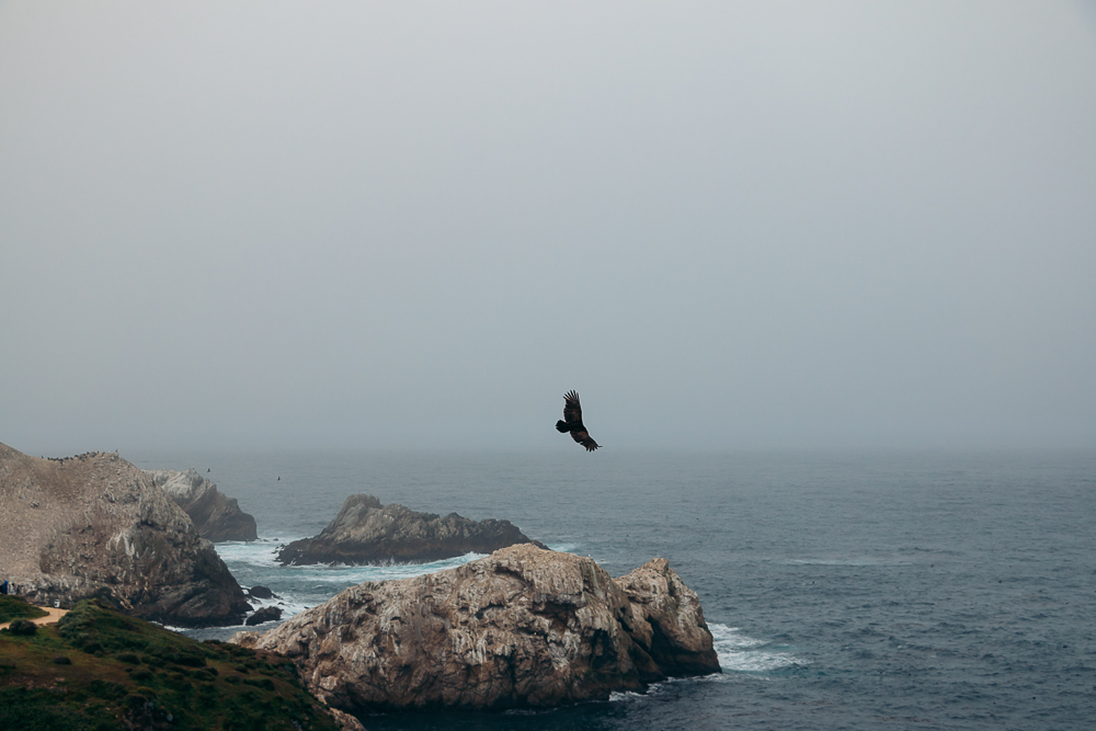 How to hike Bird Island Trail - Roads and Destinations