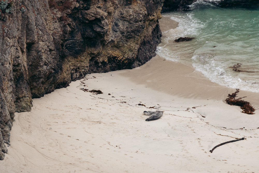 How to hike Bird Island Trail - Roads and Destinations