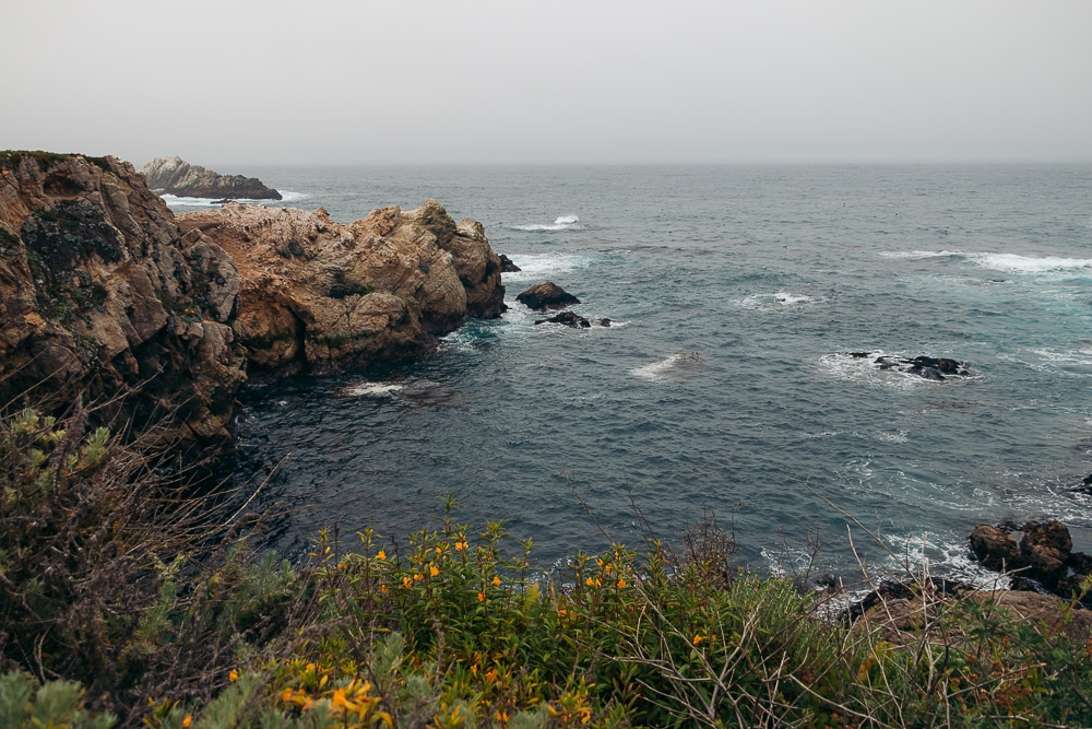 How to hike Bird Island Trail - Roads and Destinations