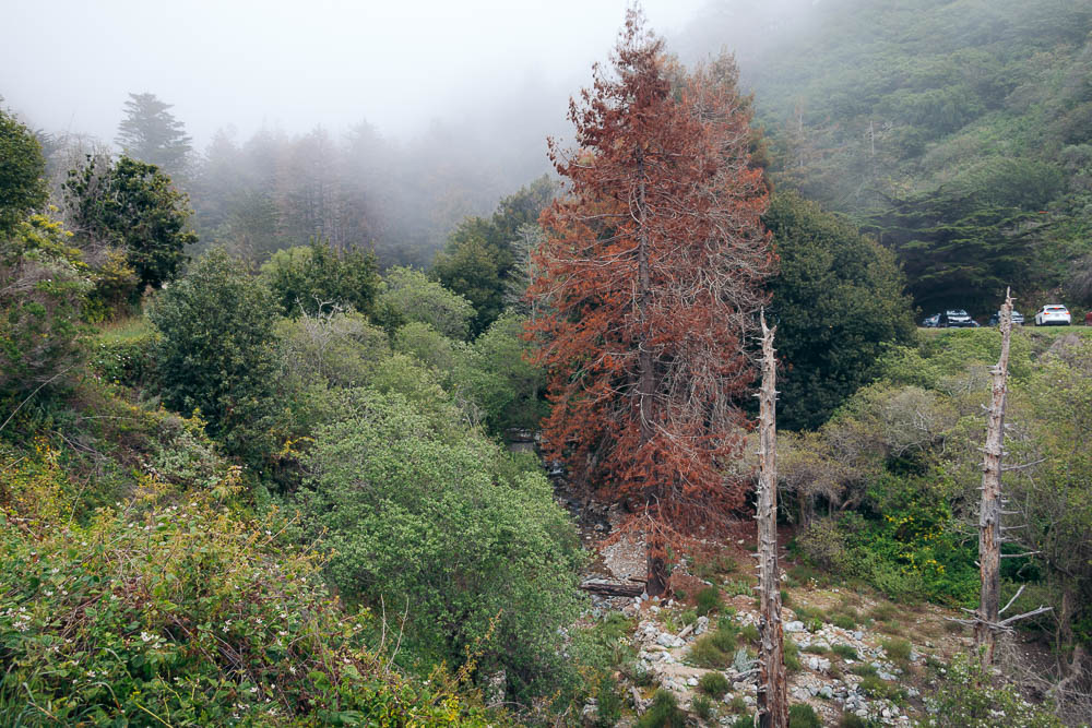 Big Sur - Roads and Destinations