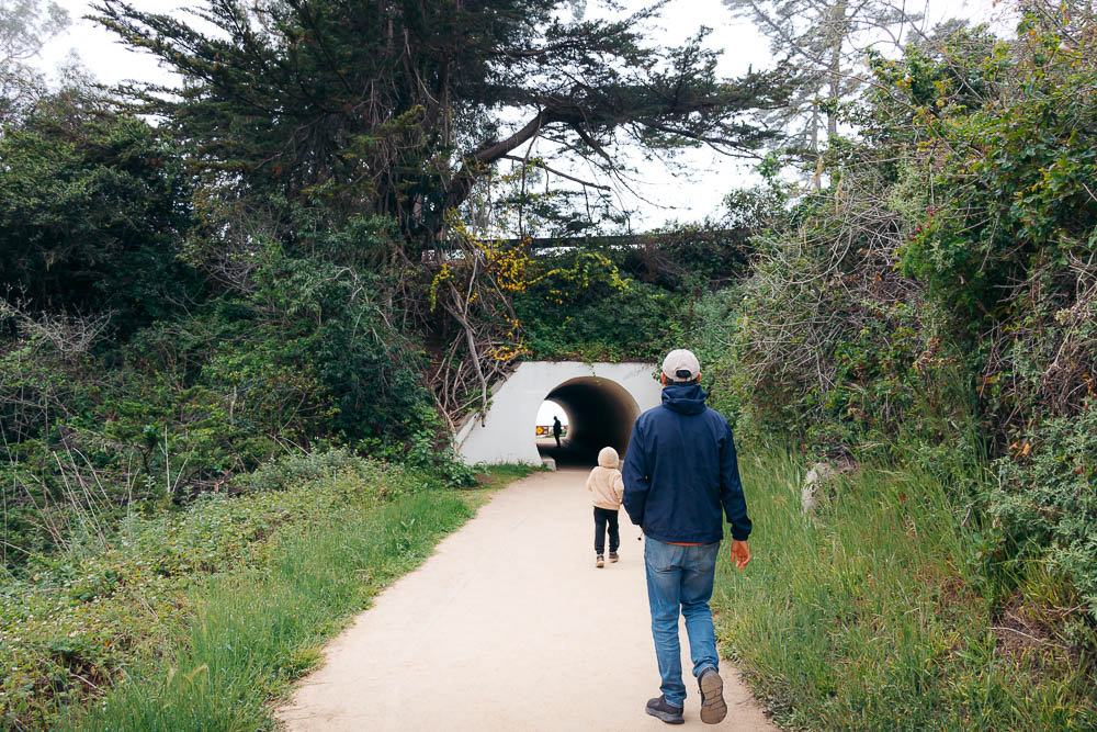 Hiking in Big Sur - Roads and Destinations