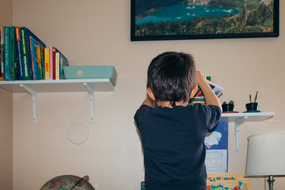 Organizing Books in Home Library - Roads and Destinations